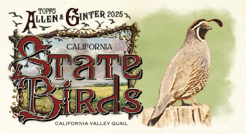 Topps Allen & Ginter Baseball - Hobby Box