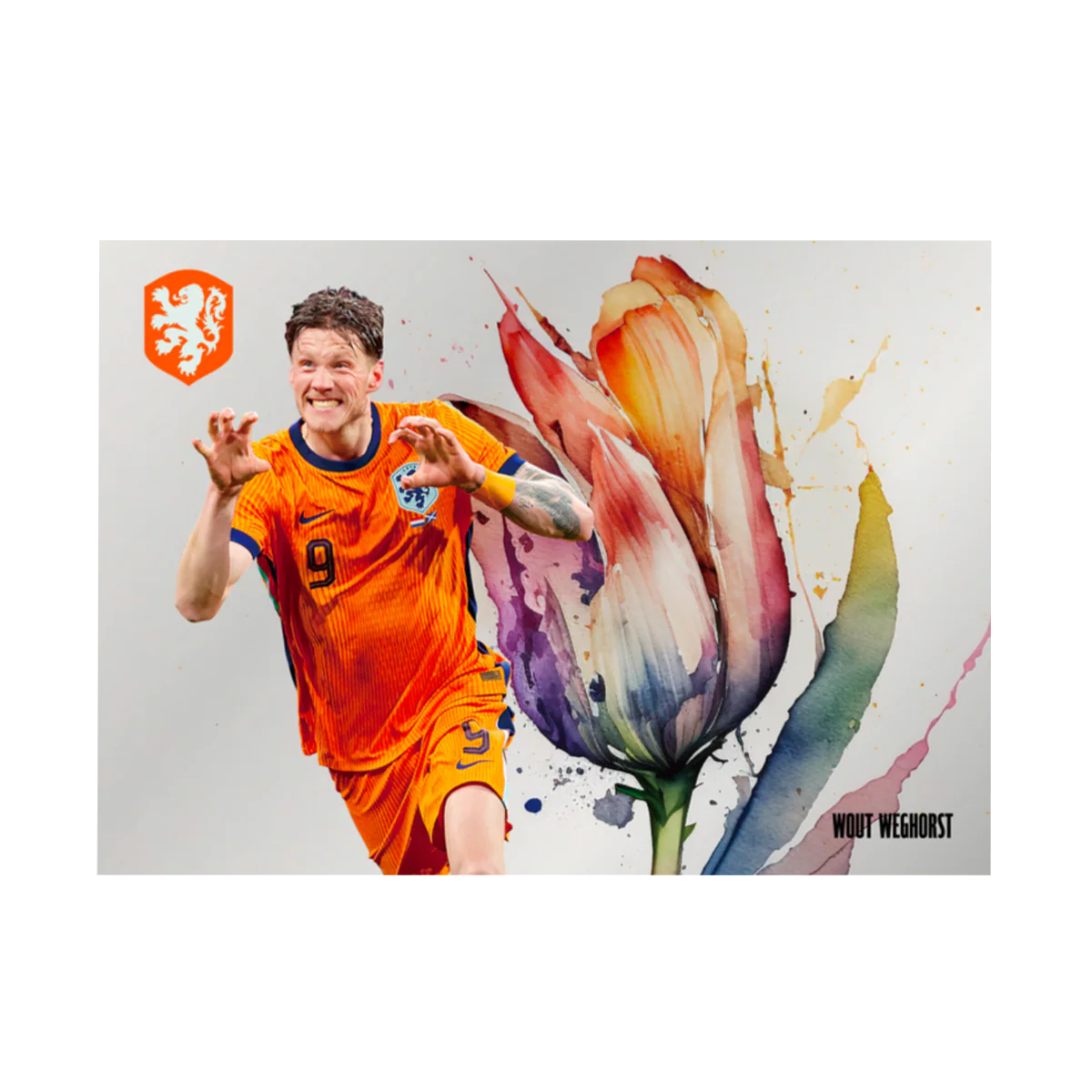 Daka Netherlands 2024 - Hobby Box