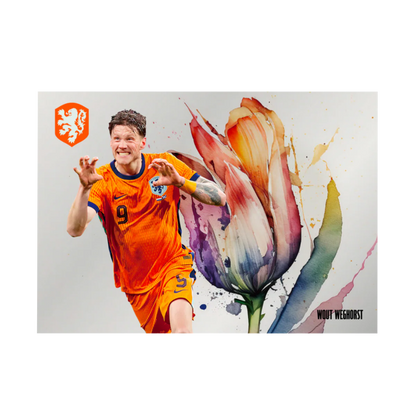 Daka Netherlands 2024 - Hobby Box